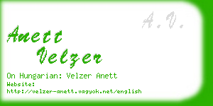 anett velzer business card